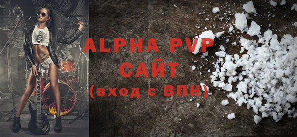 индика Белокуриха