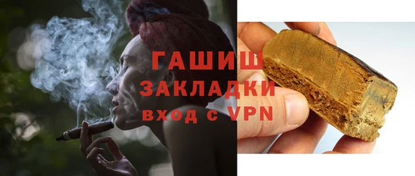 индика Белокуриха