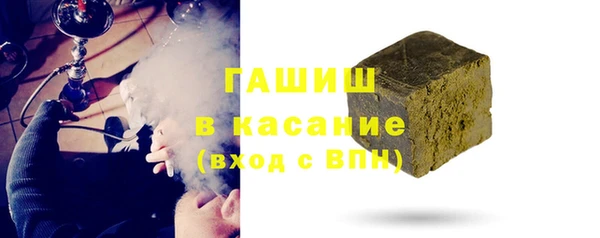 индика Белокуриха