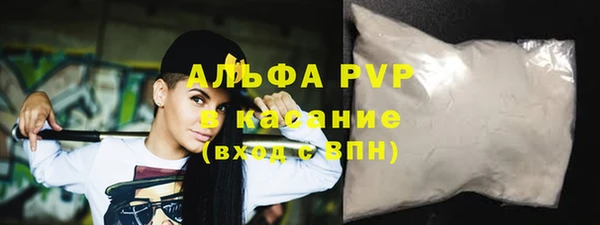 индика Белокуриха