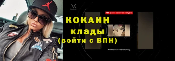 индика Белокуриха