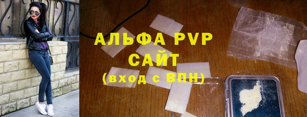 индика Белокуриха