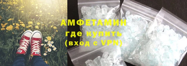 индика Белокуриха
